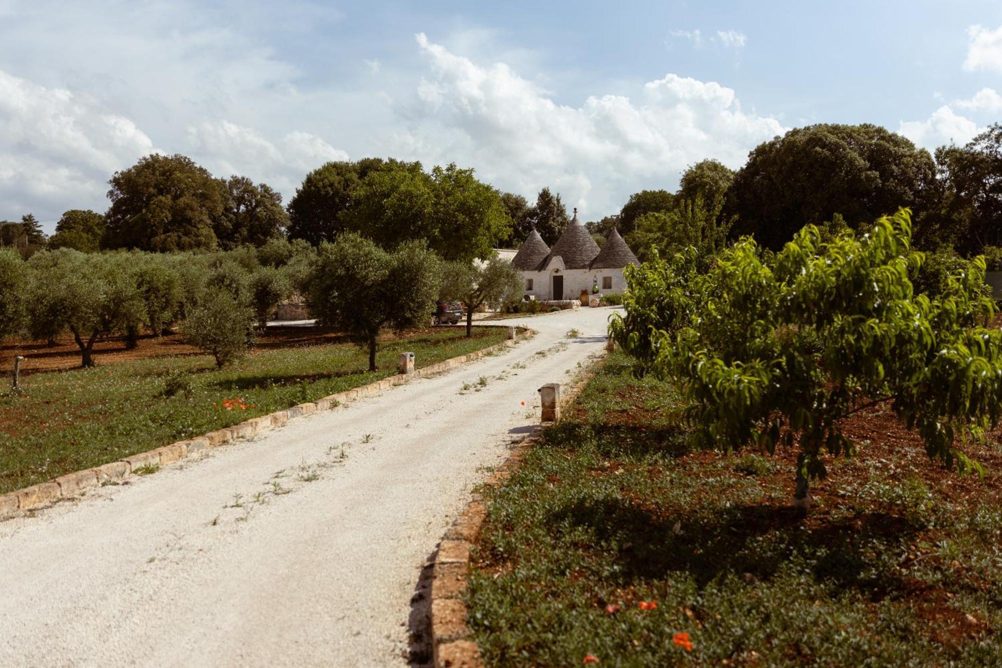 Il Trullo Di Pozzallegro Locorotondo Εξωτερικό φωτογραφία
